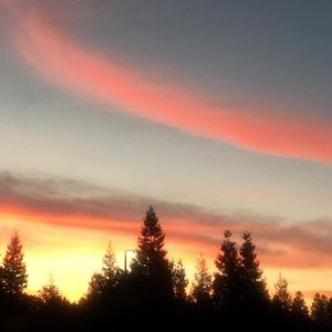 Meet your Posher, Jimmy